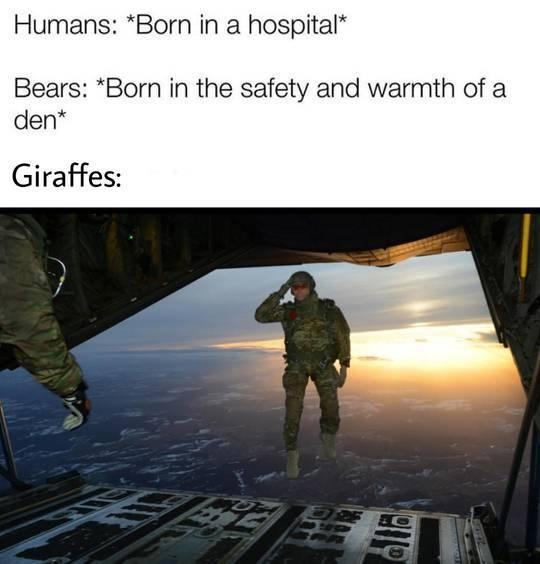funnymemes55_002