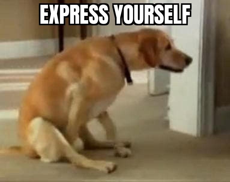 funnymemes55_007