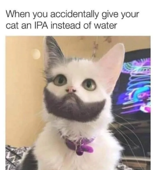 funnymemes55_017
