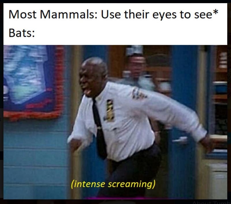 funnymemes55_031