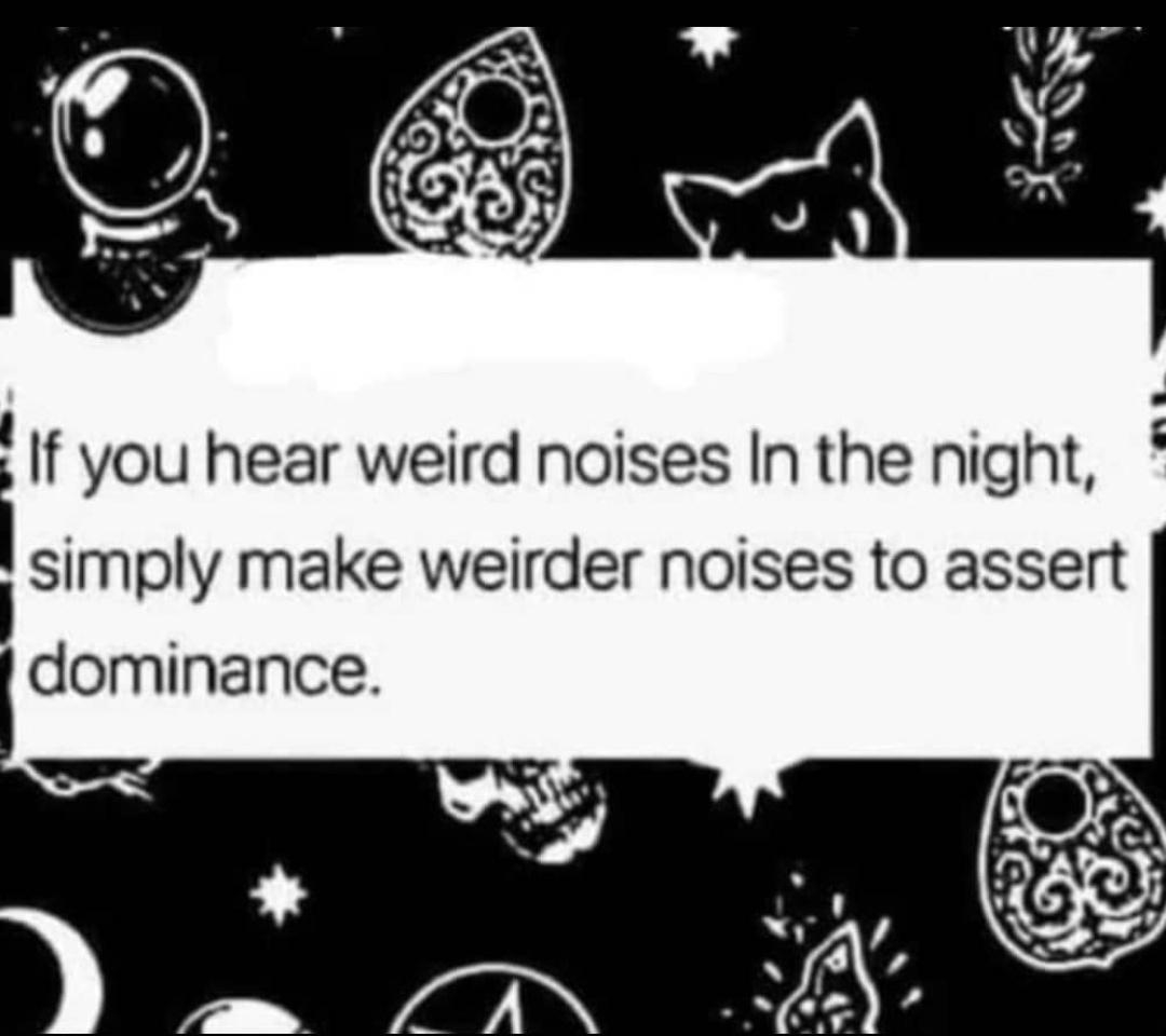 funnymemes55_041