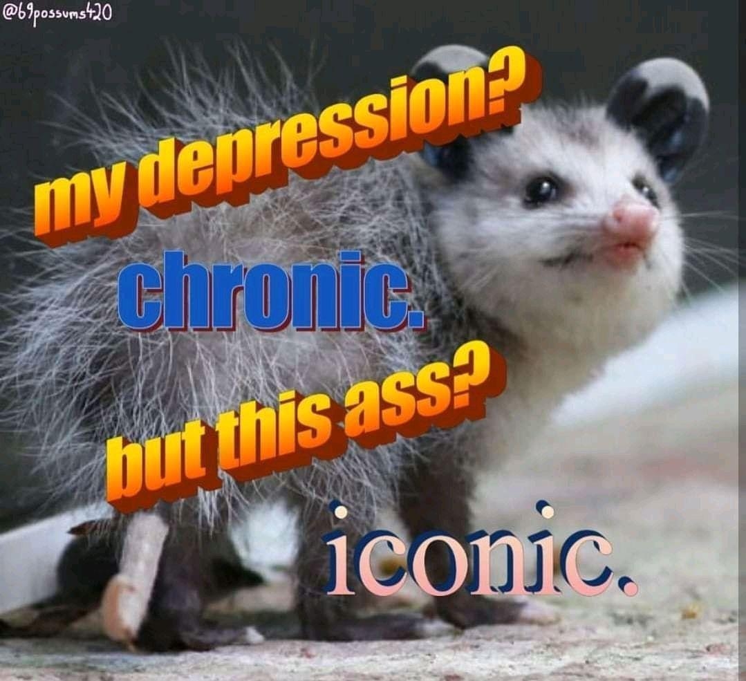 funnymemes55_043