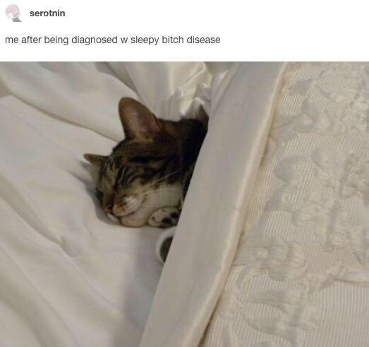funnymemes55_046
