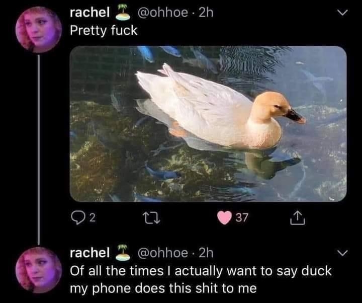 funnymemes60_007