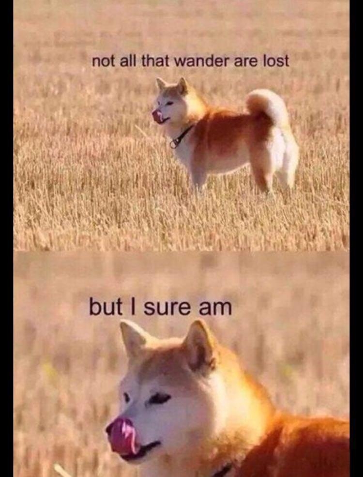 funnymemes60_011