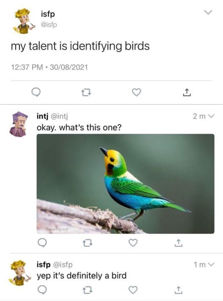 funnymemes60_016