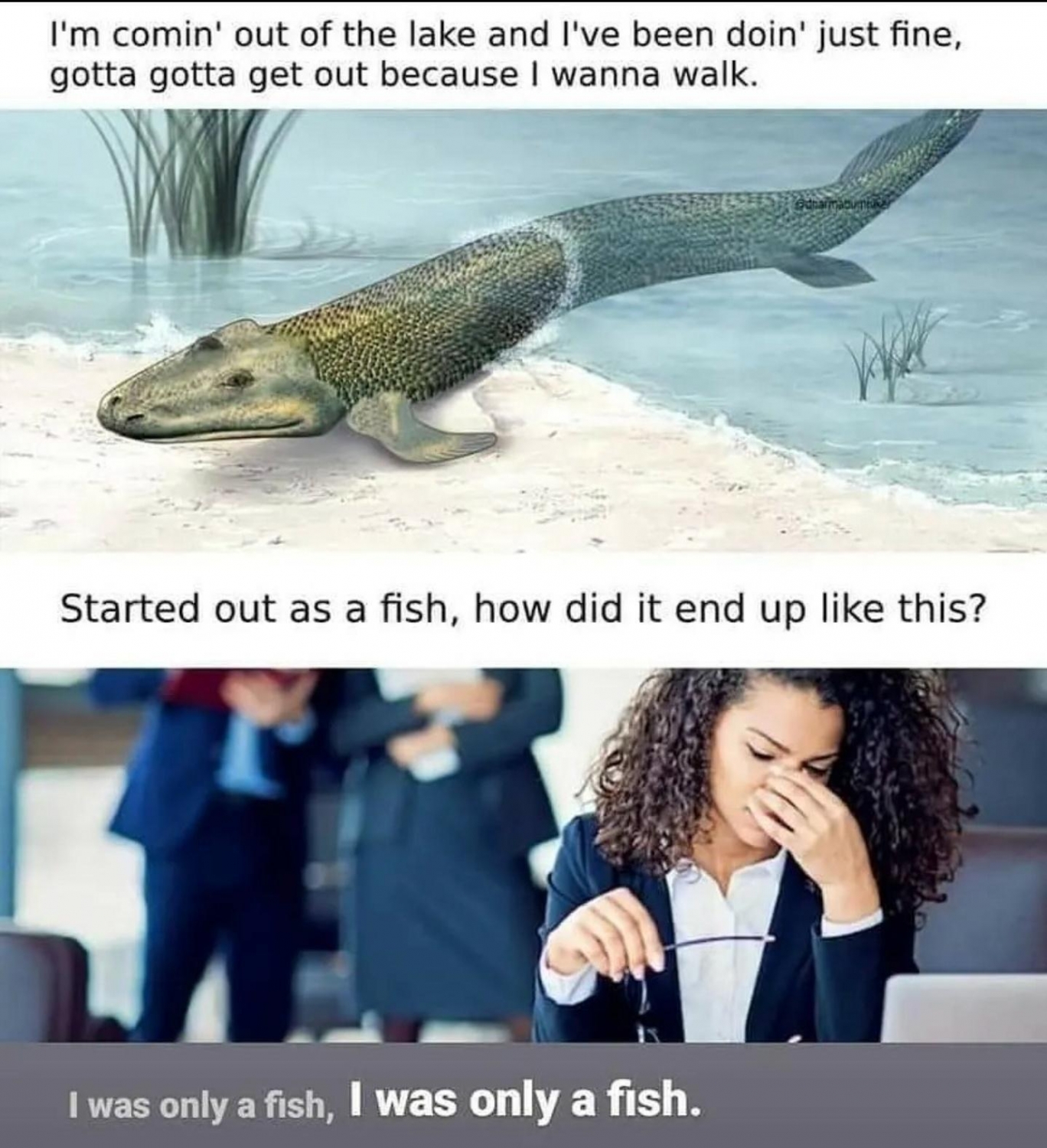 funnymemes60_044