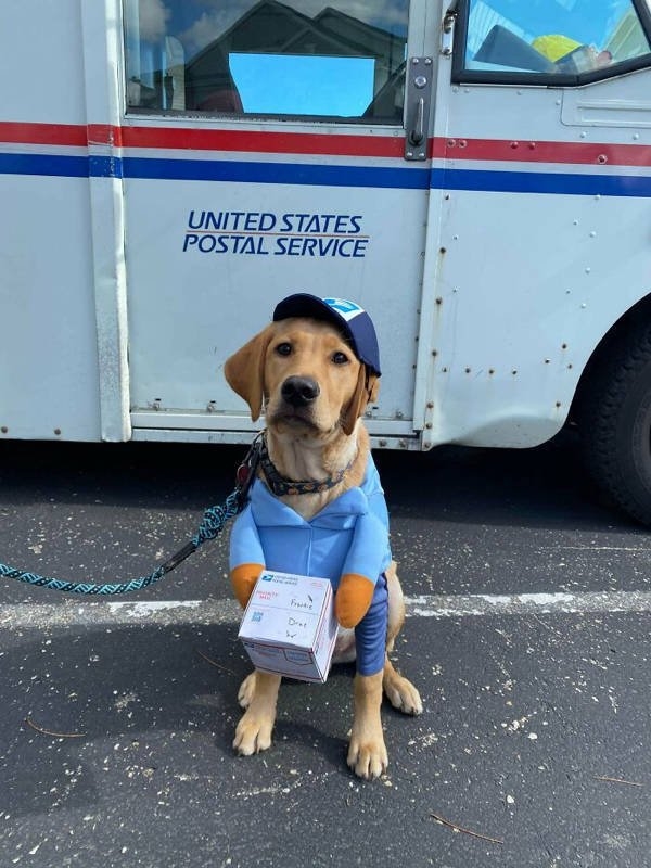 halloweencostumepets_028