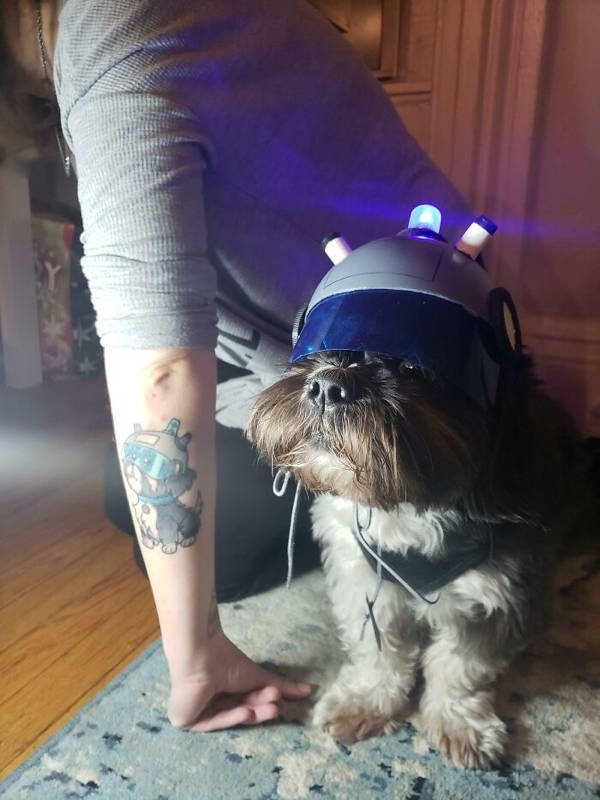 halloweencostumepets_034