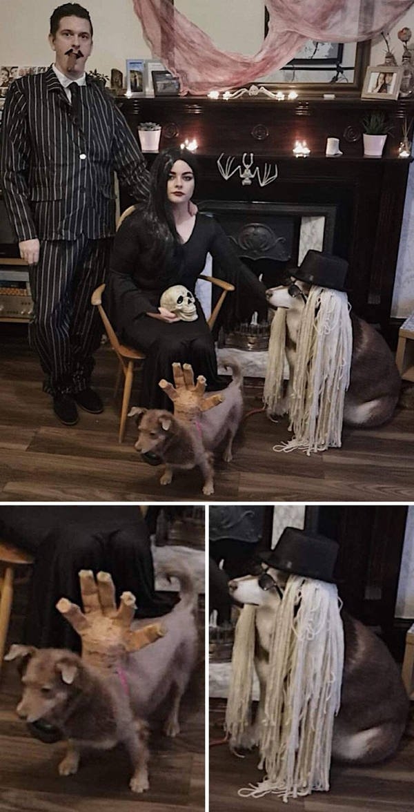 halloweencostumepets_038