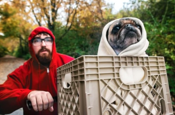 halloweencostumes3_042