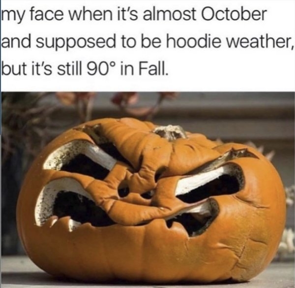 halloweenmemes_022