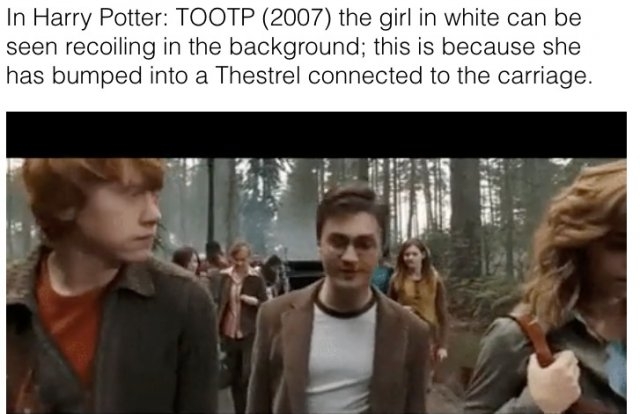 harrypotterhiddengems_012