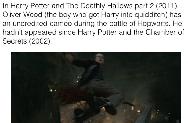 harrypotterhiddengems_016