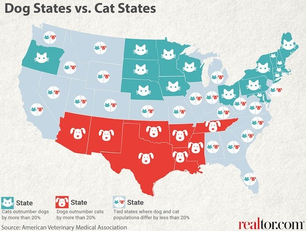 interestingdata10_006