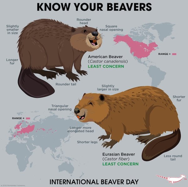 interestingdata10_015