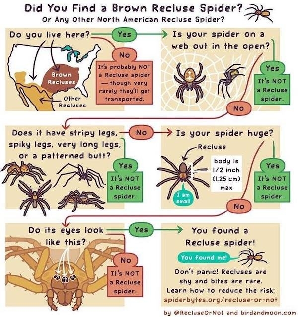 interestingdata10_019