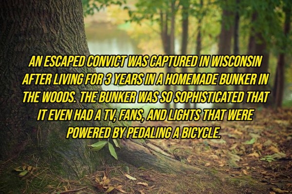 interestingfacts10_001