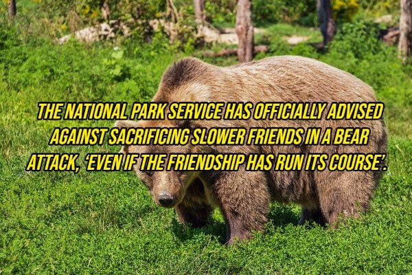 interestingfacts10_002