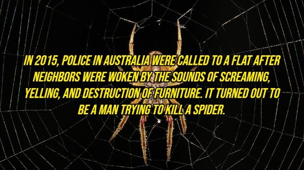 interestingfacts10_004