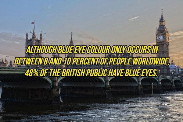 interestingfacts10_007