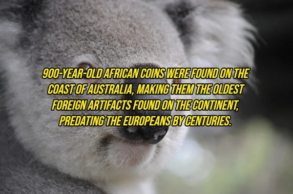 interestingfacts10_010