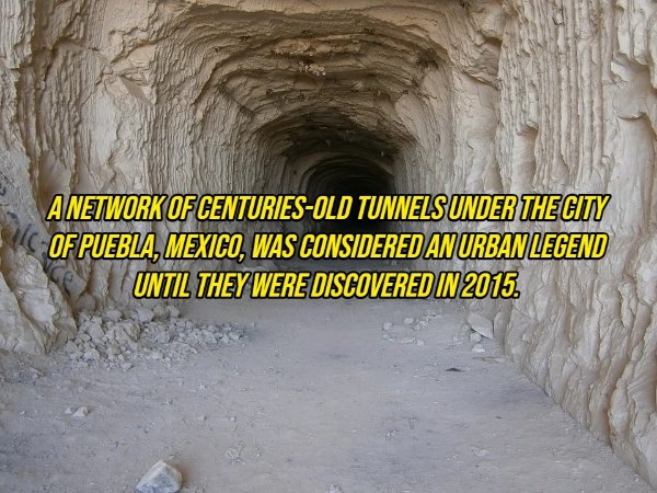 interestingfacts10_011