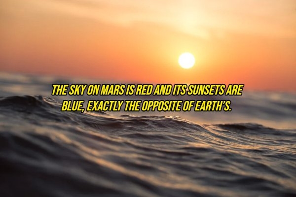 interestingfacts10_013