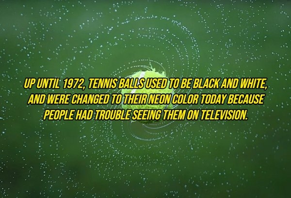 interestingfacts10_014