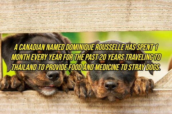 interestingfacts10_019