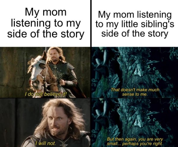 lotrmemes4_010