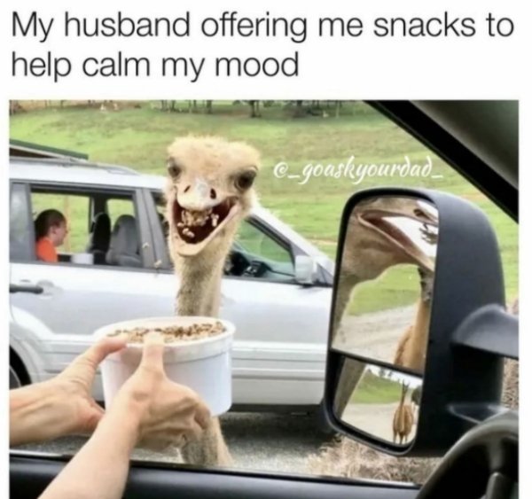 marriedhumor4_009