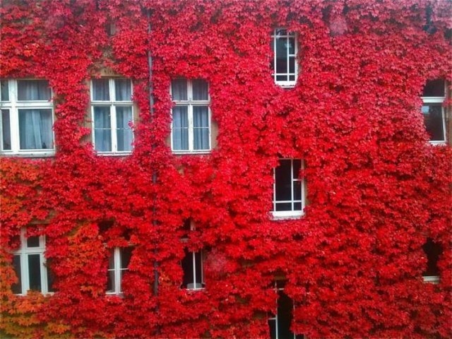 randompics423_056