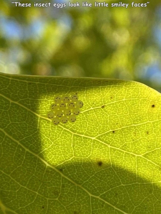 randompics423_061