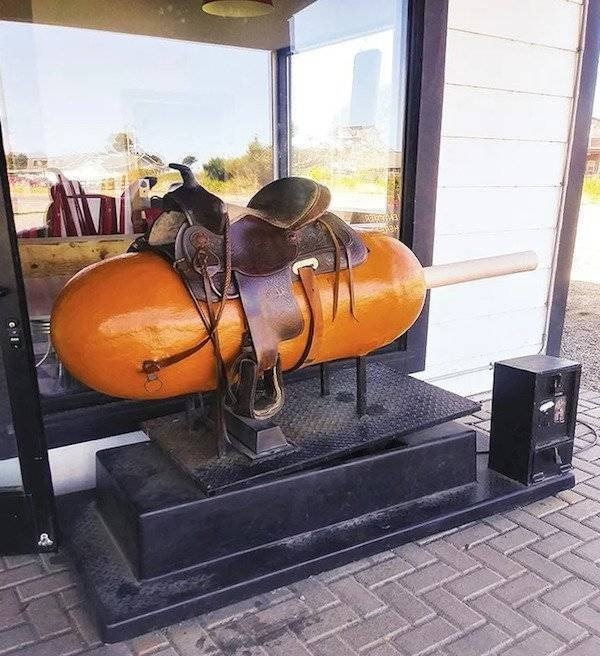randompics430_030