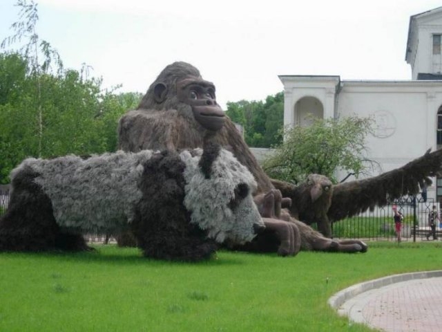 randompics436_072