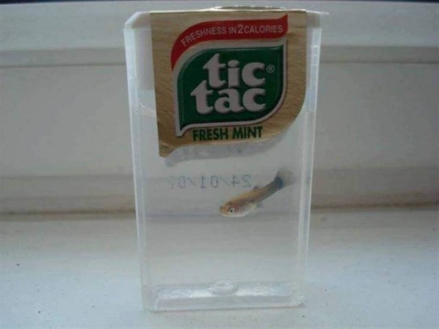 randompics439_056