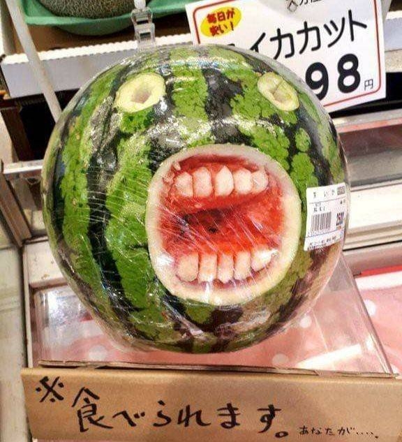 randompics451_023