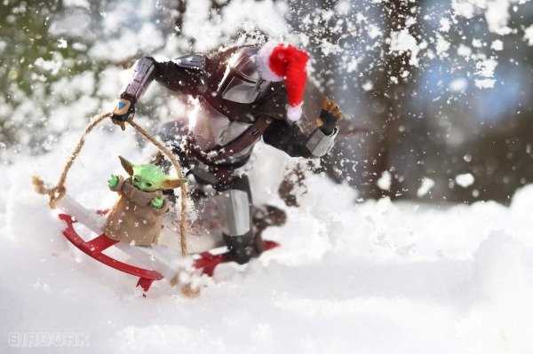 sirdorktoyphotography_003