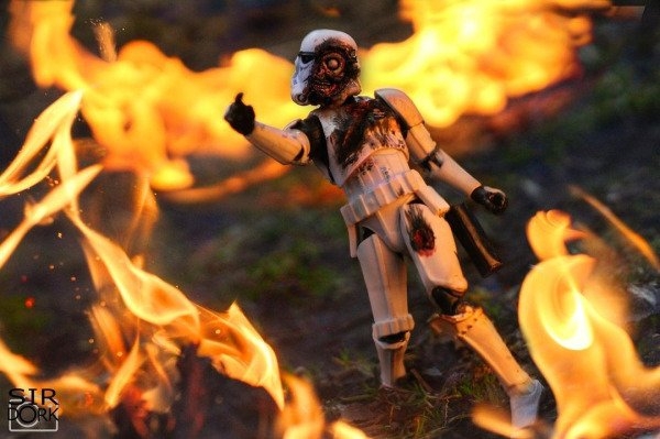 sirdorktoyphotography_012