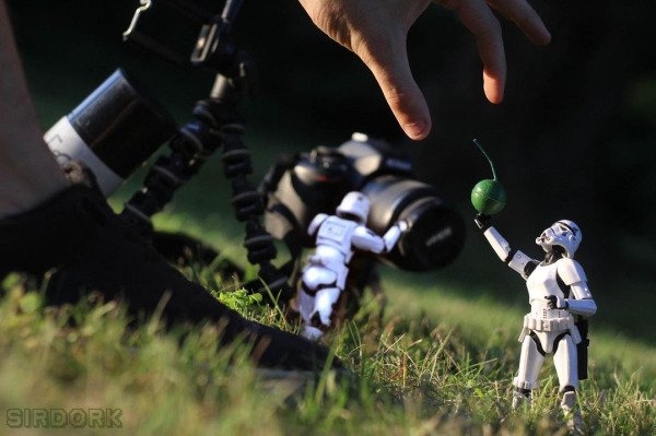 sirdorktoyphotography_020