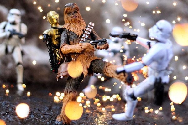 sirdorktoyphotography_028