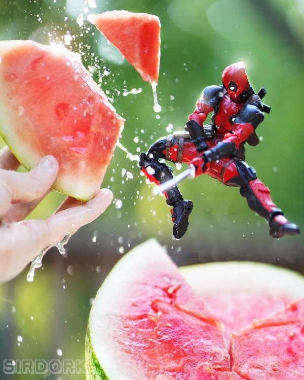 sirdorktoyphotography_033