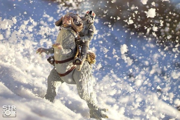 sirdorktoyphotography_035