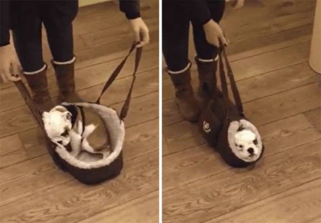 coolproductdesigns_021