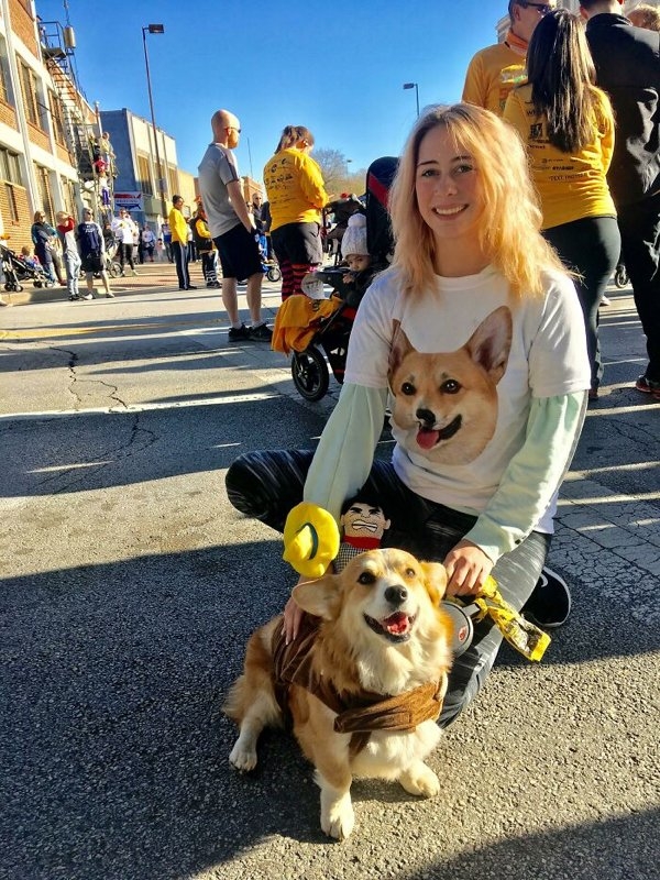 corgis_004