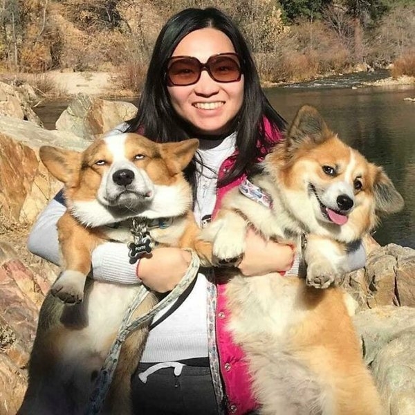 corgis_016