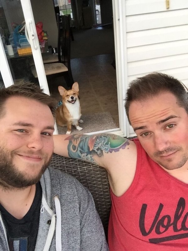 corgis_019