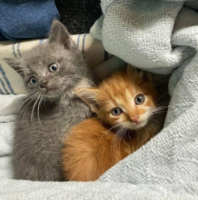 dumpstertreasure_001