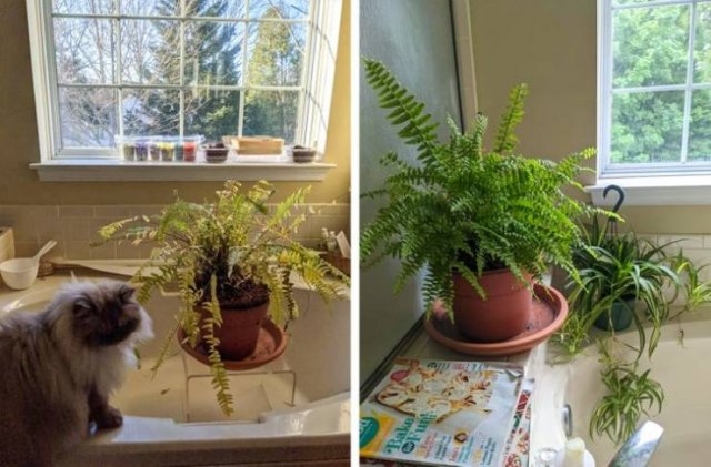 dumpstertreasure_012